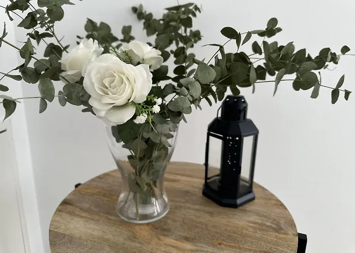 Paradise - Bonilla فيلة نيرخا